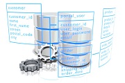 Zooble Database Design Services